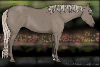 Horse Color:Silver Grullo 