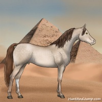 Horse Color:Brown Pearl Dun 