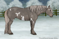 Horse Color:White Spotted Silver Black 