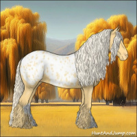 Horse Color:Palomino Appaloosa 