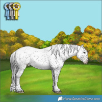 Horse Color:Brown Sabino
