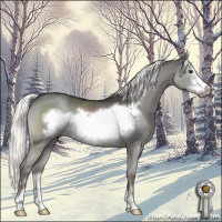 Horse Color:Platinum White Spotted Liver Red Dun Mushroom Sabino Frame