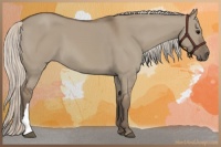 Horse Color:Silver Grullo 