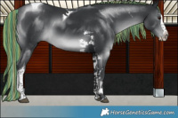 Horse Color:Painted Black Chinchilla Splash Tobiano 