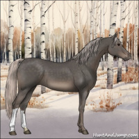 Horse Color:Silver Black 