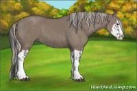 Horse Color:Grullo Sabino Splash  and Silver Grullo Sabino Splash 
