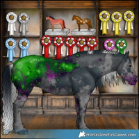 Horse Color:ERROR: UNKNOWN ANOMALY and ERROR: UNKNOWN ANOMALY