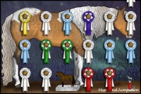 Horse Color:Silver Buckskin Splash Tobiano 