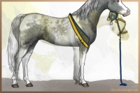 Horse Color:White Spotted Silver Black Chinchilla Ice Splash Tobiano 