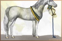 Horse Color:White Spotted Silver Grullo Chinchilla Ice Tobiano 