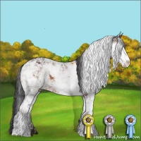 Horse Color:Bay Sabino 