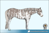 Horse Color:Silver Black Sabino 