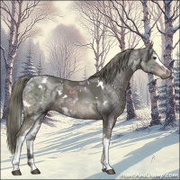 Horse Color:White Spotted Liver Chestnut Ice Mushroom