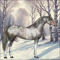 Horse Color:Liver Chestnut Ice Mushroom Sabino Tobiano 
