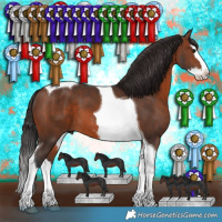 Horse Color:Brown Splash Tobiano