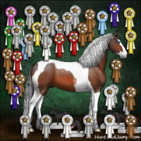 Horse Color:Brown Splash Tobiano
