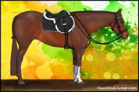 Horse Color:Chocolate Brown 