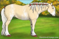 Horse Color:White Spotted Gold Cream Champagne 