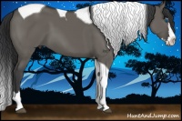 Horse Color:Grullo Splash Tobiano 