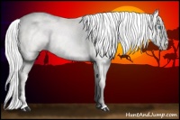 Horse Color:Silver Perlino 