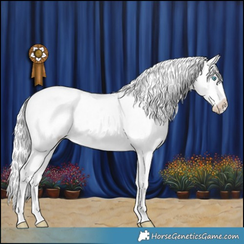 Horse Color:Silver Perlino Roan Frame Appaloosa 