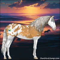 Horse Color:Silver Buckskin Splash Appaloosa 