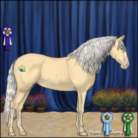 Horse Color:Silver Amber Cream Champagne