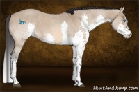 Horse Color:Bay Roan Dun Splash Tobiano 