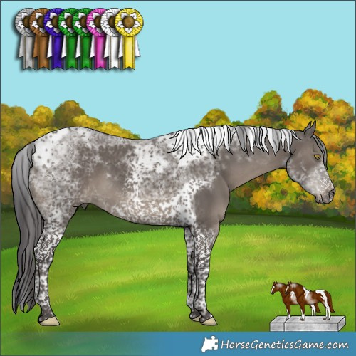 Horse Color:Smoky Grullo Tobiano Frame 