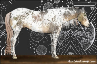 Horse Color:White Spotted Chocolate Palomino Tobiano 