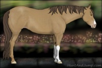 Horse Color:Classic Cream Champagne 