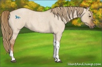 Horse Color:Red Dun Roan Tobiano 