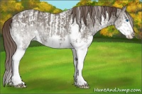 Horse Color:Liver Red Dun Ice Splash Tobiano  and Liver Red Dun Ice Sabino Splash Tobiano 