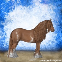 Horse Color:White Spotted Chestnut Sabino 