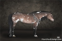 Horse Color:Platinum White Spotted Brown