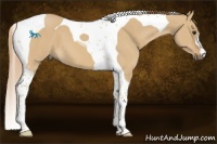 Horse Color:Red Dun Tobiano