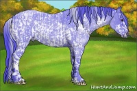 Horse Color:Watercolor White Spotted Liver Red Ice Roan  and Watercolor White Spotted Liver Red Roan Rabicano 