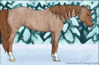 Horse Color:Red Roan 