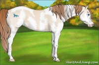 Horse Color:Red Dun Splash Tobiano 