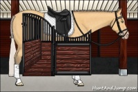 Horse Color:Silver Amber Cream Champagne