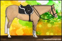 Horse Color:Silver Sable Cream Champagne