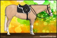Horse Color:Silver Amber Champagne Sabino