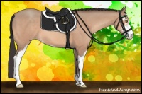 Horse Color:Sable Champagne Sabino 