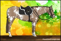 Horse Color:White Spotted Classic Champagne 