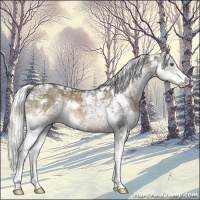 Horse Color:White Spotted Liver Chestnut Ice Mushroom Splash 