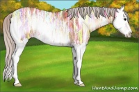 Horse Color:Silver Bay Ice Onyx Splash 