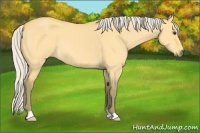Horse Color:Silver Buckskin Roan Dun