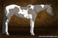 Horse Color:Grullo Tobiano 