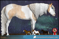Horse Color:Silver Buckskin Roan Splash Tobiano 