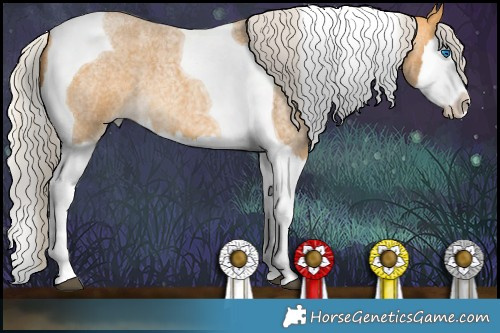 Horse Color:Silver Buckskin Roan Splash Tobiano 